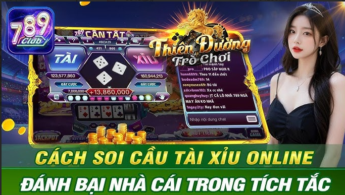 Hỗ trợ khách hàng 24/7 dịch vụ tận tâm